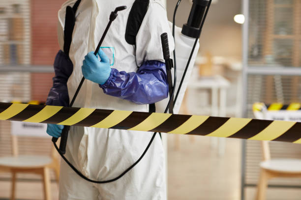Professional Hoarding Cleanup technician working in Linthicum Heights, MD